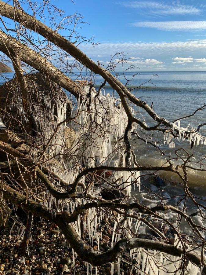 Pension & Ferienwohnungen Schneidereit Sassnitz Exteriör bild