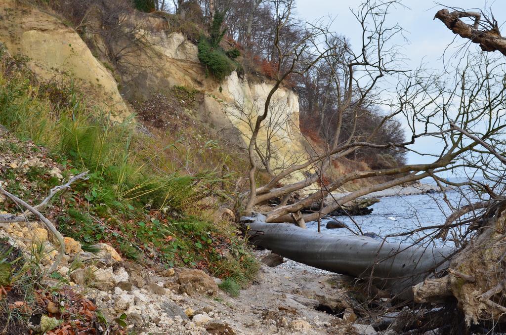 Pension & Ferienwohnungen Schneidereit Sassnitz Exteriör bild